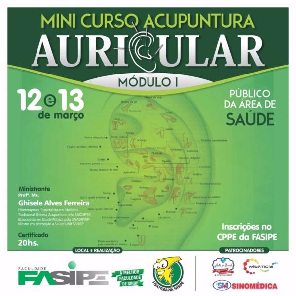 Fisioterapia realiza minicurso de Acupuntura Auricular